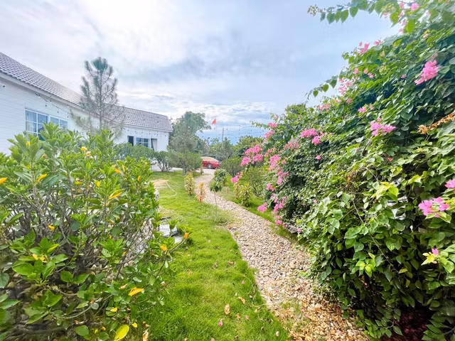 Điểm đáng chú ý nhất trong không gian nghỉ dưỡng của gia đình Duy Nam là sân vườn ngập tràn hoa và cây cối, trông chẳng khác nào ở công viên.