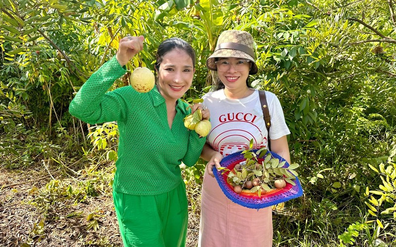 MC Cát Tường tiết lộ, bố cô sẽ cải tổ vườn trong vòng 2 tháng. Trong vườn sẽ có nhà chòi, có ao... để chuẩn bị đón Tết. Ảnh chụp màn hình