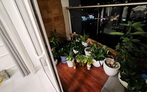 Tại khu vực ban công đặt nhiều cây xanh. Ảnh: Vietnamnet