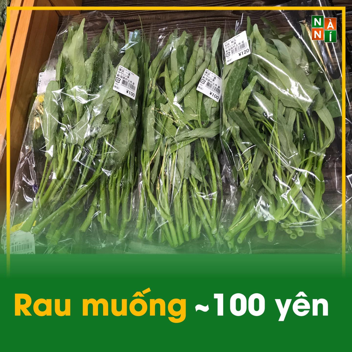 Và mức giá rau muống ở Nhật lên tới 50.000 đồng cho 6 cộng. Ảnh: Facebook