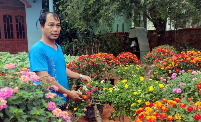 Nhờ được giá, không ít nhà vườn thu về hàng trăm triệu đồng mỗi năm. Ảnh: Dân trí