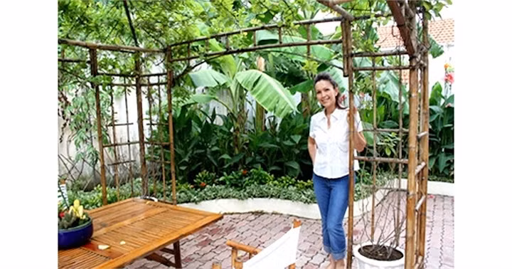 Khu vườn xanh mướt, cây lá sum suê với bụi chuối, giàn hoa leo xinh xắn... là không gian thư giãn của gia đình. Ảnh: VTCNews