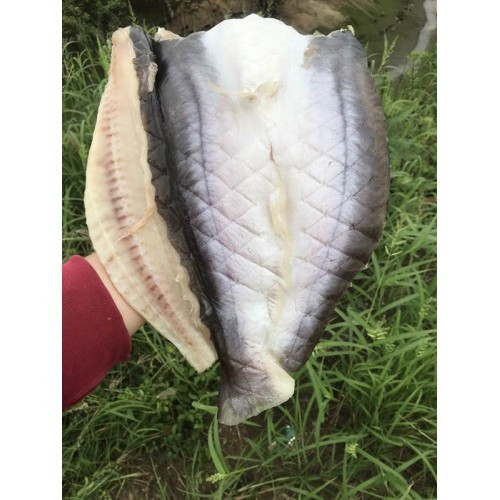 Cá dứa thịt khá ngọt, mình chắc, béo ngậy, phảng phất thơm mùi dứa nhưng không bị tanh. Ảnh: Dacsannanggio