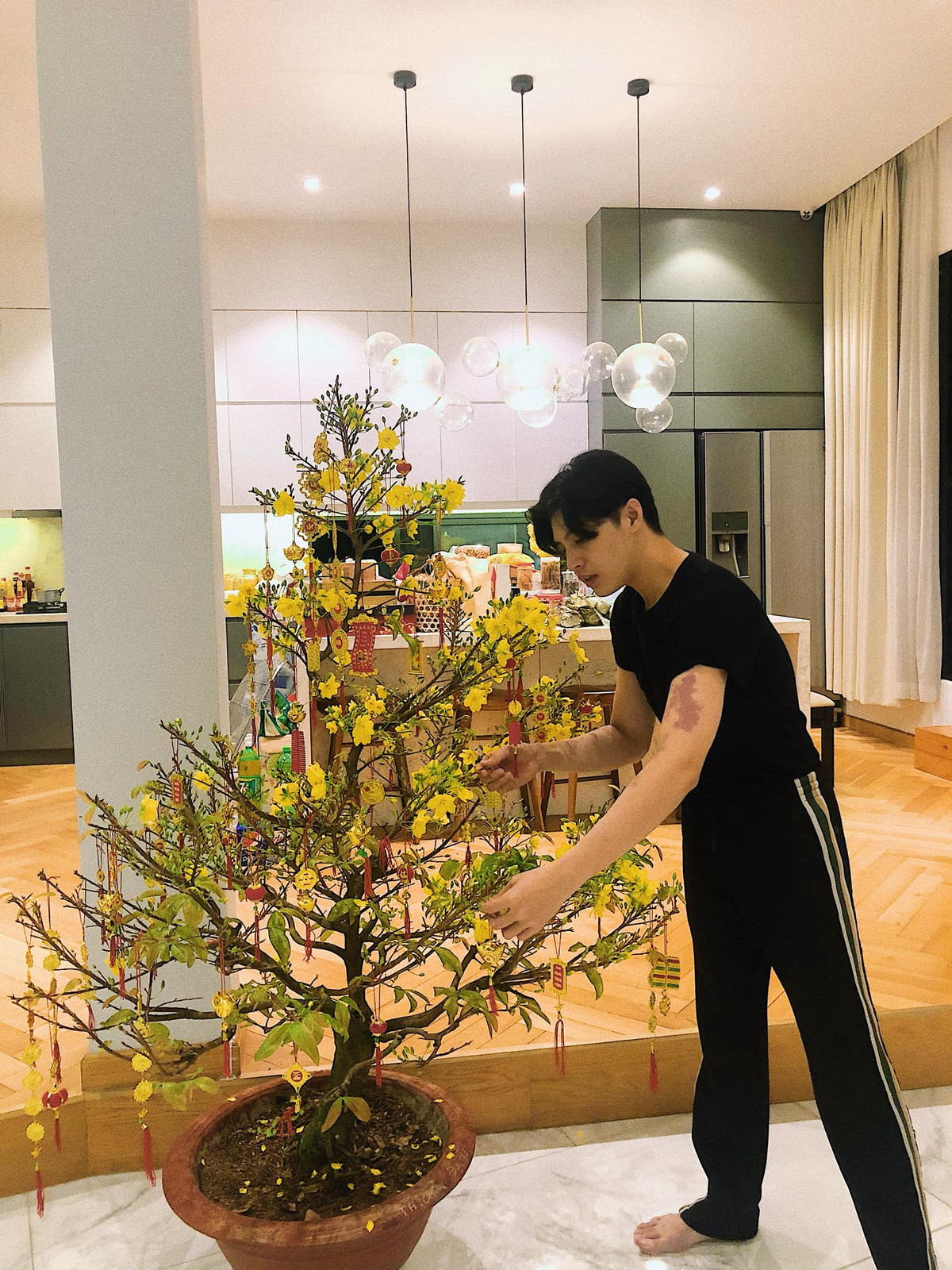 Tết đến, nam ca sĩ đặt chậu mai vàng lớn trong phòng khách.