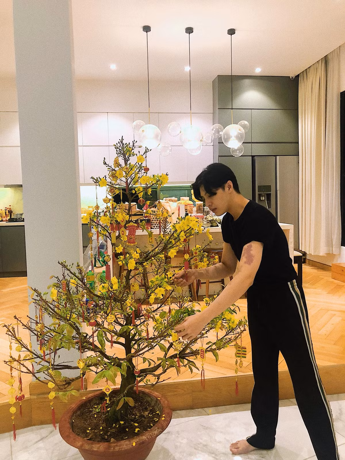 Tết đến, nam ca sĩ đặt chậu mai vàng lớn trong phòng khách.