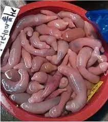 Nếu vượt qua được cảm giác sợ hãi ban đầu, đây là món ăn hấp dẫn với hương vị gần giống với các loại sò, hàu tươi...Ảnh: Steemit