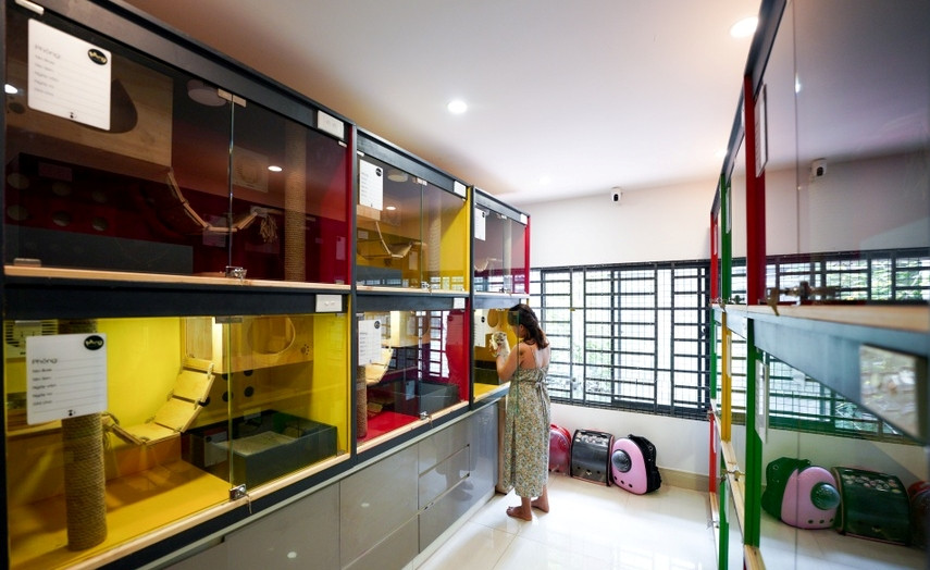 Như vậy, nếu chủ nhân gửi thú cưng cả một tuần nghỉ Tết thì mức phí trông giữ lên tới gần chục triệu đồng. Ảnh: Zing