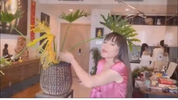 Đặc biệt, trong nhà của Thanh Hà - Phương Uyên có nhiều cây xanh.