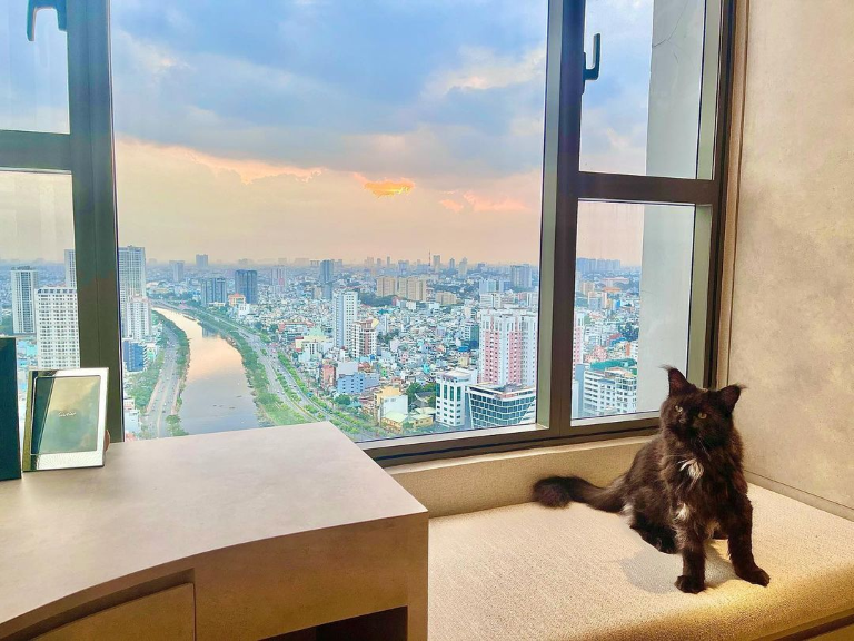 Dù khá kín tiếng nhưng Trần Thành - Hari Won đôi lần vô tình để lộ những hình ảnh về tổ ấm của mình. Cặp đôi đang sống trong căn hộ ở trung tâm Sài Sòn, được cho là không dưới 20 tỷ đồng.