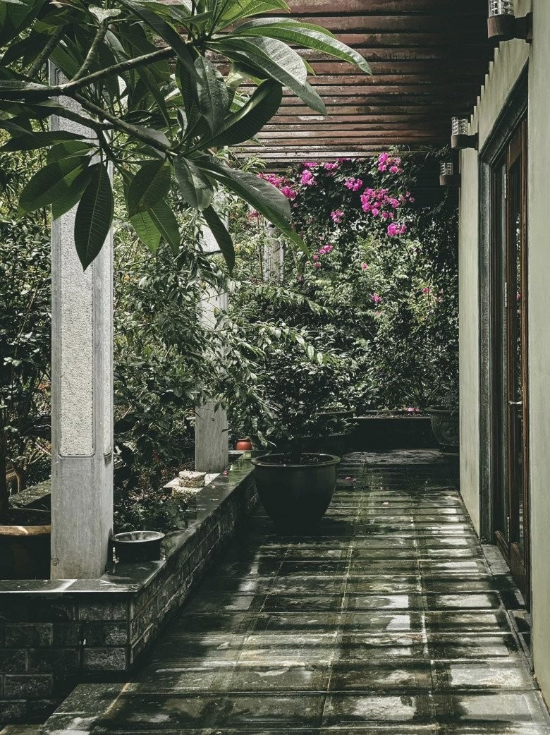 Khoảng vườn bình yên, ôm trọn ngôi nhà 5 gian truyền thống. Ảnh: Người đưa tin