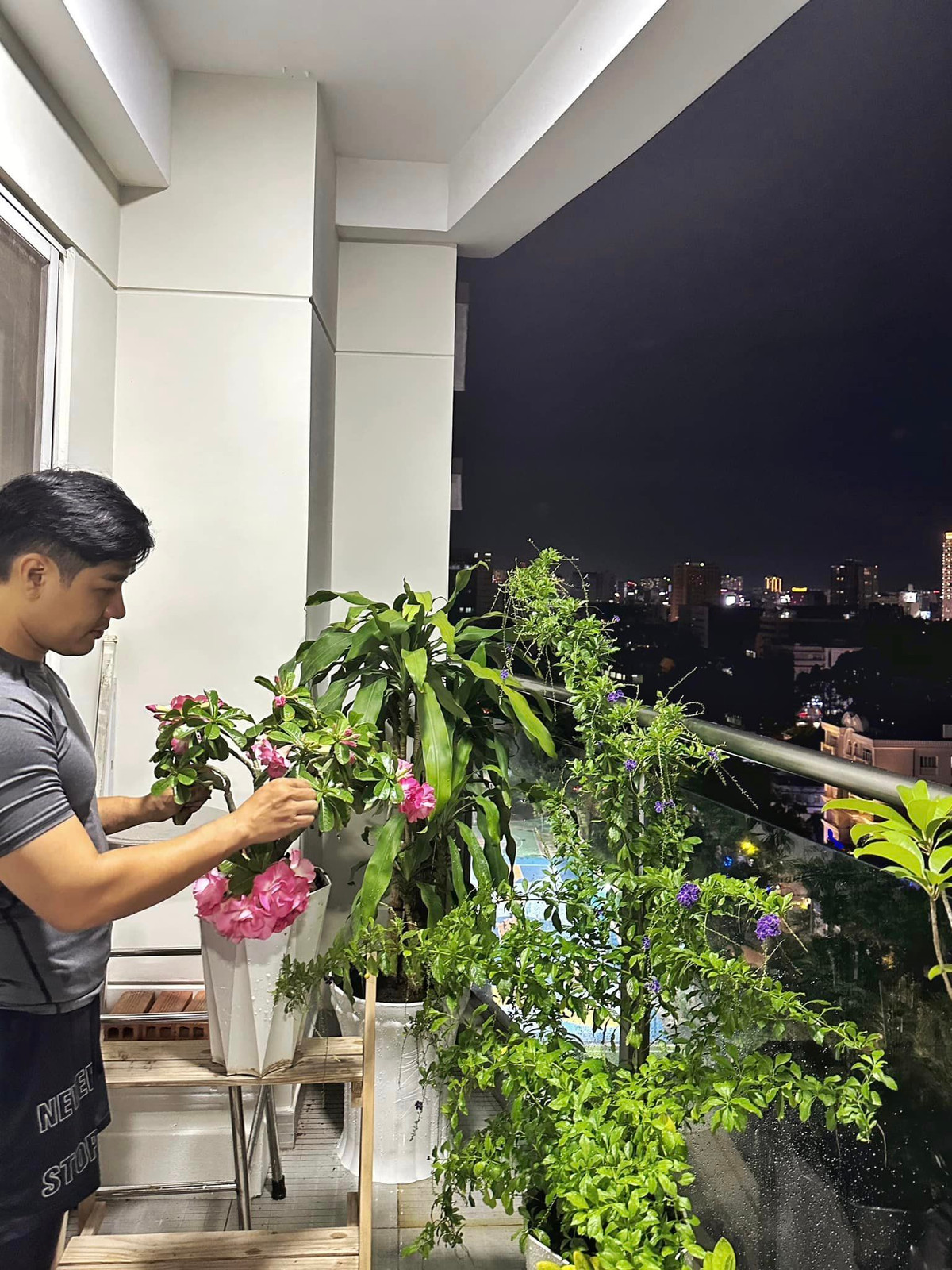 Để có ban công cây xanh đẹp, ra hoa, kết trái...nam MC đã không ngại tối khuya chăm sóc, tỉa tót.