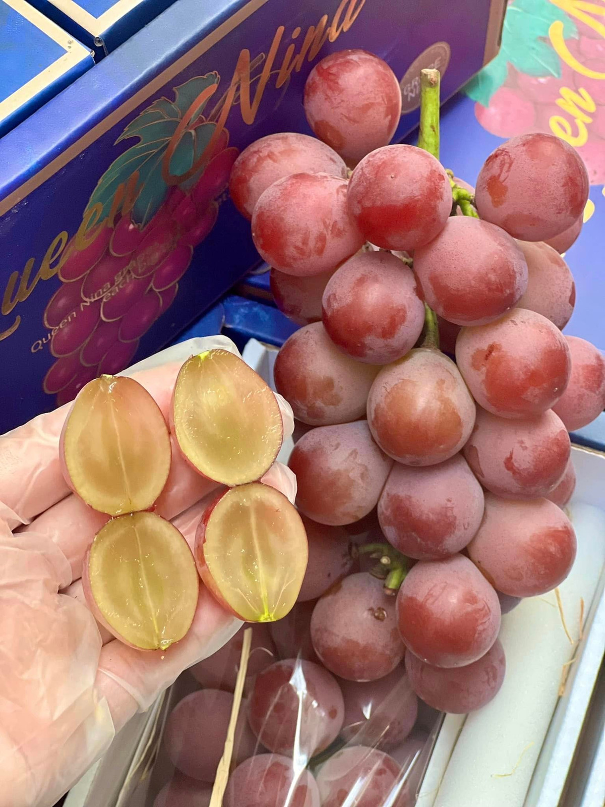 Theo các tiểu thương, nho Ruby Roman giá rẻ đang bán nhiều trên chợ mạng là giống Nhật trồng tại Trung Quốc (là dòng nho Queen Nina). Ảnh: FB Trần Thị Tú