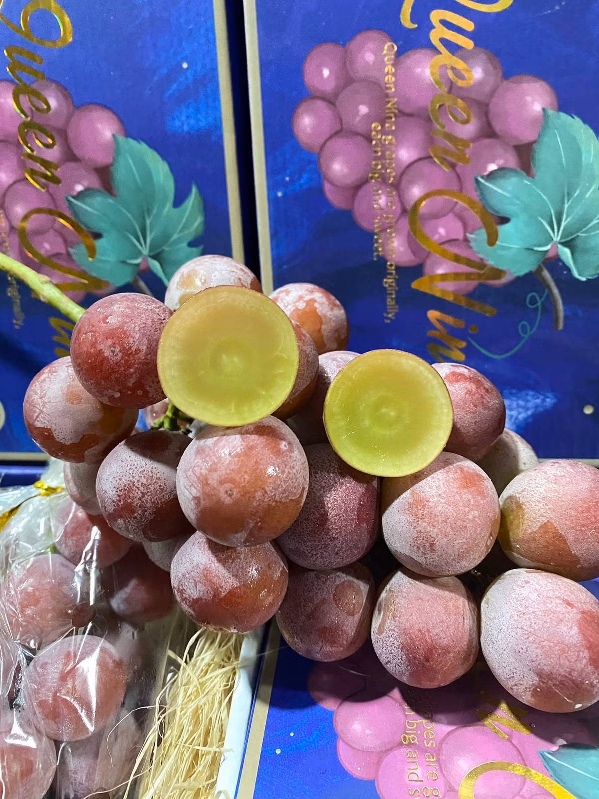 Nho Queen Nina trái bé và chỉ có một lòng, trong khi đó, Ruby Roman trái to bên trong 2 lòng như quả trứng gà, cơm dày. Ảnh: FB Lê Thị Ngọc Lý