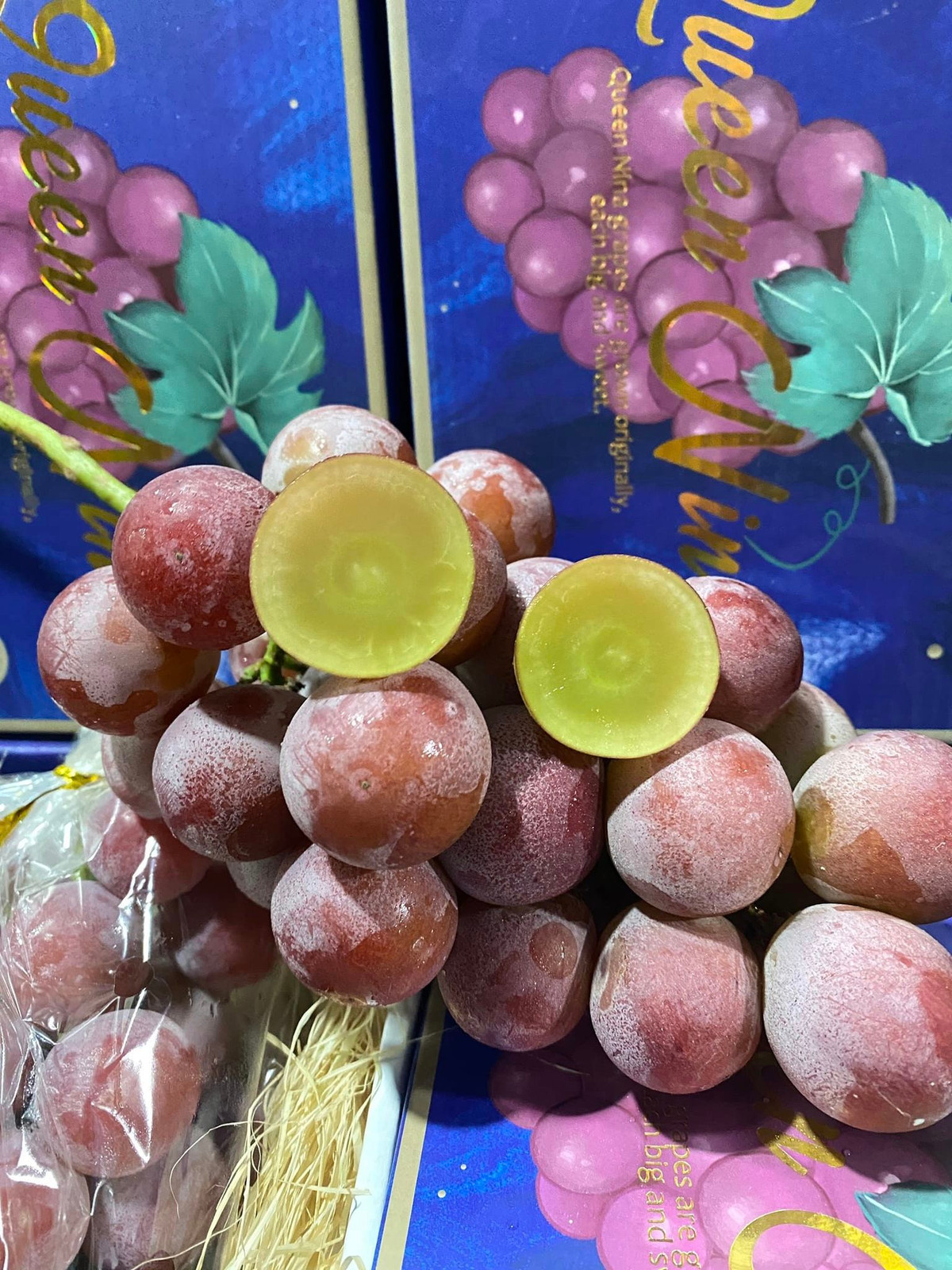 Nho Queen Nina trái bé và chỉ có một lòng, trong khi đó, Ruby Roman trái to bên trong 2 lòng như quả trứng gà, cơm dày. Ảnh: FB Lê Thị Ngọc Lý