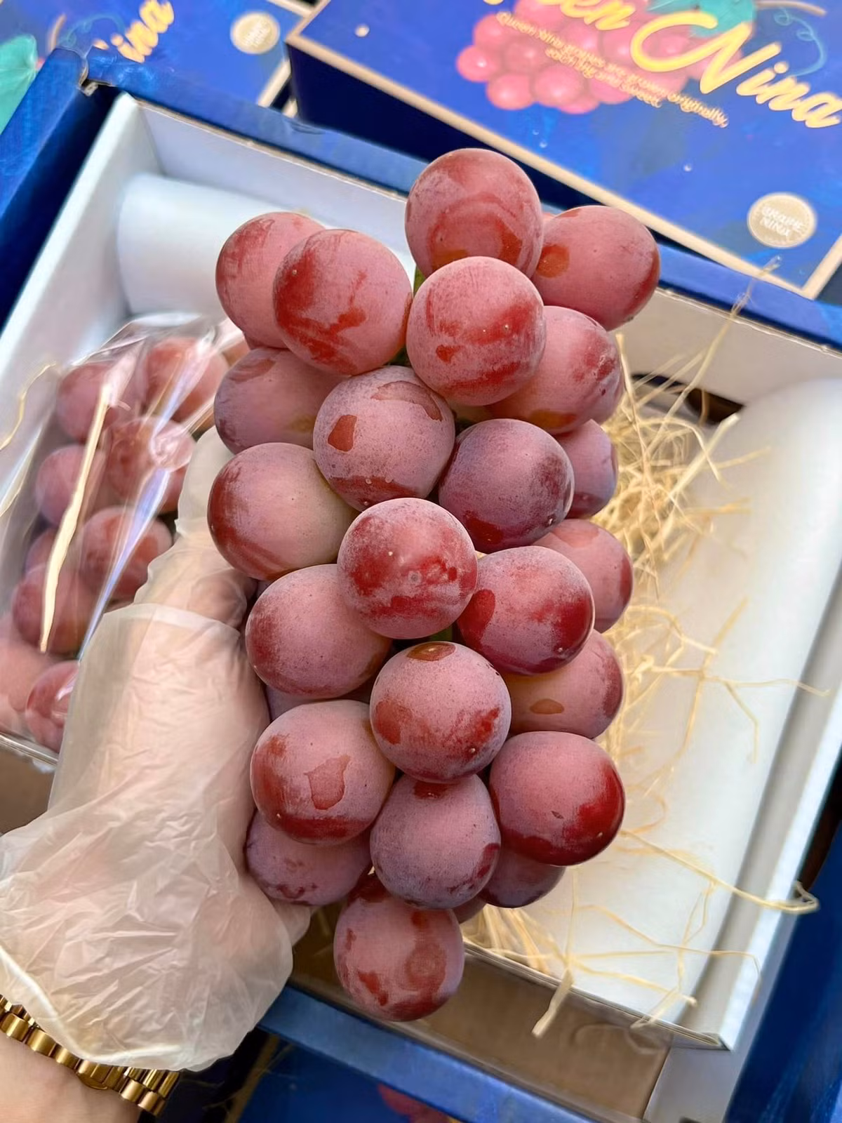 Thời gian gần đây, trên chợ mạng xuất hiện nhiều bài rao bán nho Ruby Roman với giá chỉ từ 530.000 - 570.000 đồng/kg. Ảnh: FB Trần Thị Tú