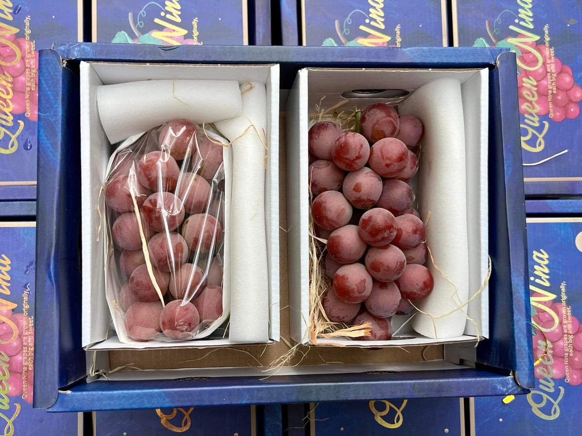 Tính ra mỗi chùm nho có giá khoảng 265.000 - 275.000 đồng, rẻ hơn rất nhiều so với loại nho Ruby Roman trồng tại Nhật Bản. Ảnh: FB Trần Thị Tú