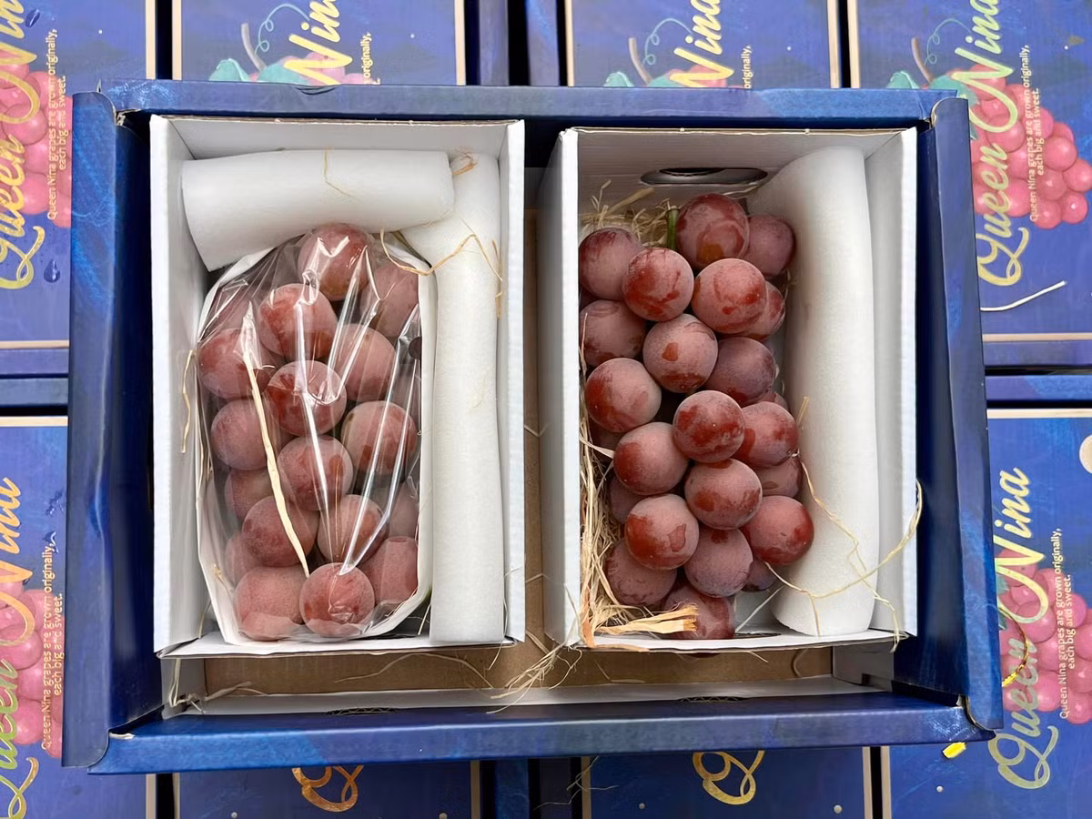 Tính ra mỗi chùm nho có giá khoảng 265.000 - 275.000 đồng, rẻ hơn rất nhiều so với loại nho Ruby Roman trồng tại Nhật Bản. Ảnh: FB Trần Thị Tú