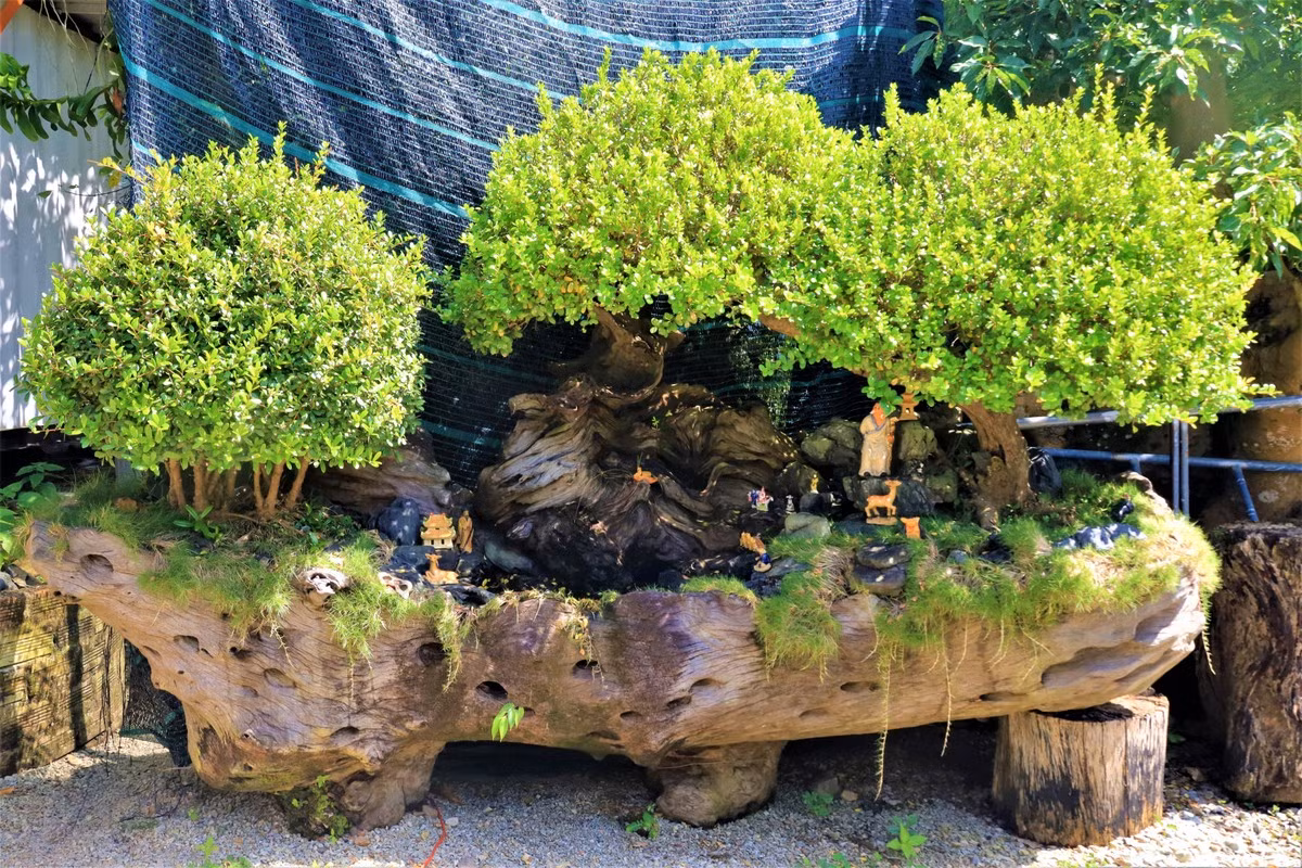 Tới thời điểm này, tạm tính số tiền Ngọc Phước bỏ ra cũng khoảng 10 tỷ đồng. Ảnh: Plo