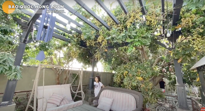 Khu vườn nhà NSƯT Bảo Quốc khá rộng lớn và trồng nhiều loại trái cây.