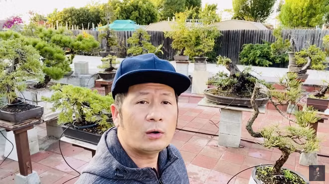 Đặc biệt, nam ca sĩ thiết kế hẳn một vườn bonsai (chủ yếu là tùng đen và bách) cùng nhiều cây cảnh quý. Ảnh: FBNV