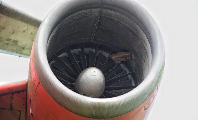 Bên trong động cơ máy bay, ong đã làm tổ. Ảnh: Dân trí