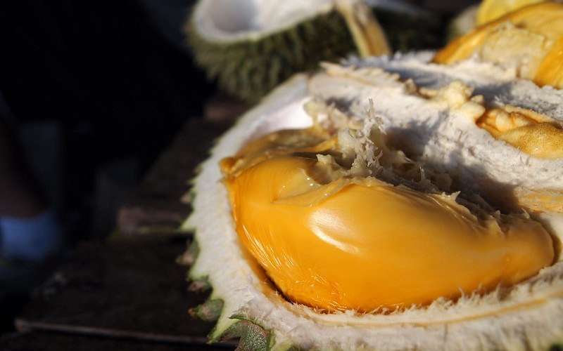 Đáng chú ý, trong buổi đấu giá King Of Durian năm 2019, từng có 1 quả sầu riêng Kanyao được chào tới… 48.000 USD (khoảng gần 1,1 tỷ đồng). Ảnh: Getty