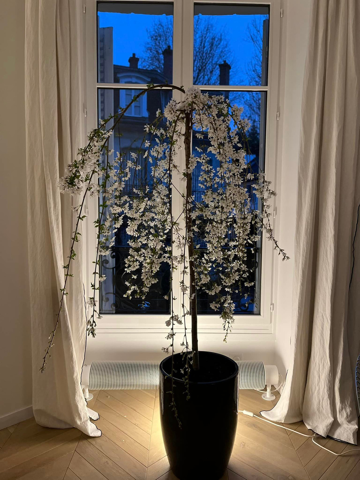 Mới đây, diva Hồng Nhung hé lộ một góc phòng xinh xắn tại Pháp thu hút sự chú ý của khán giả.