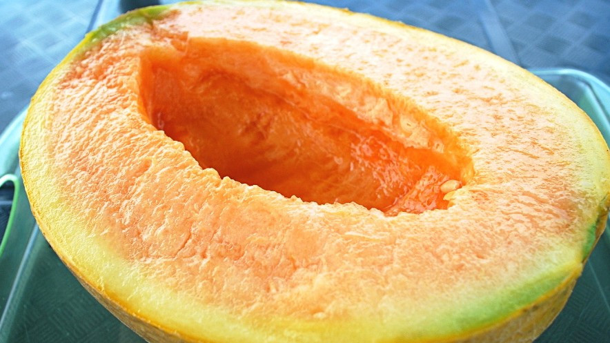 Đất trồng dưa lưới Yubari có thành phần đặc biệt là tro bụi núi lửa. Các khoáng chất trong tro núi lửa có tác dụng như một loại phân bón cung cấp một lượng lớn dinh dưỡng cần thiết cho dưa kết quả ngọt. Ảnh: Getty