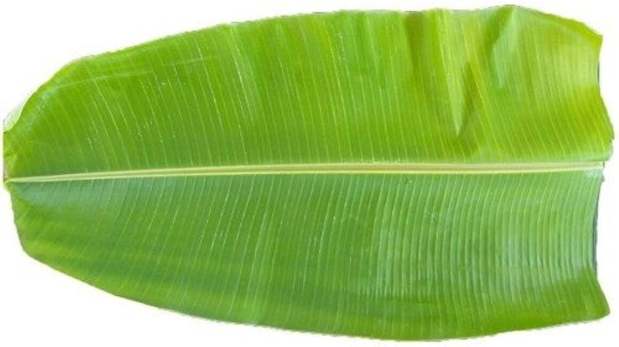 Tuy nhiên, trên thế giới, lá chuối được tận dụng để làm ra các sản phẩm hữu ích và giá bán không rẻ. Ảnh: Amazon