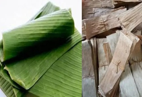 Những năm gần đây, một số doanh nghiệp Việt đã thu mua lá chuối để xuất khẩu ra nước ngoài. Tại Mỹ, lá chuối Việt Nam để phục vụ bà con Việt kiều trong dịp lễ tết dùng làm lá gói giò, gói bánh chưng. Ảnh: eBay