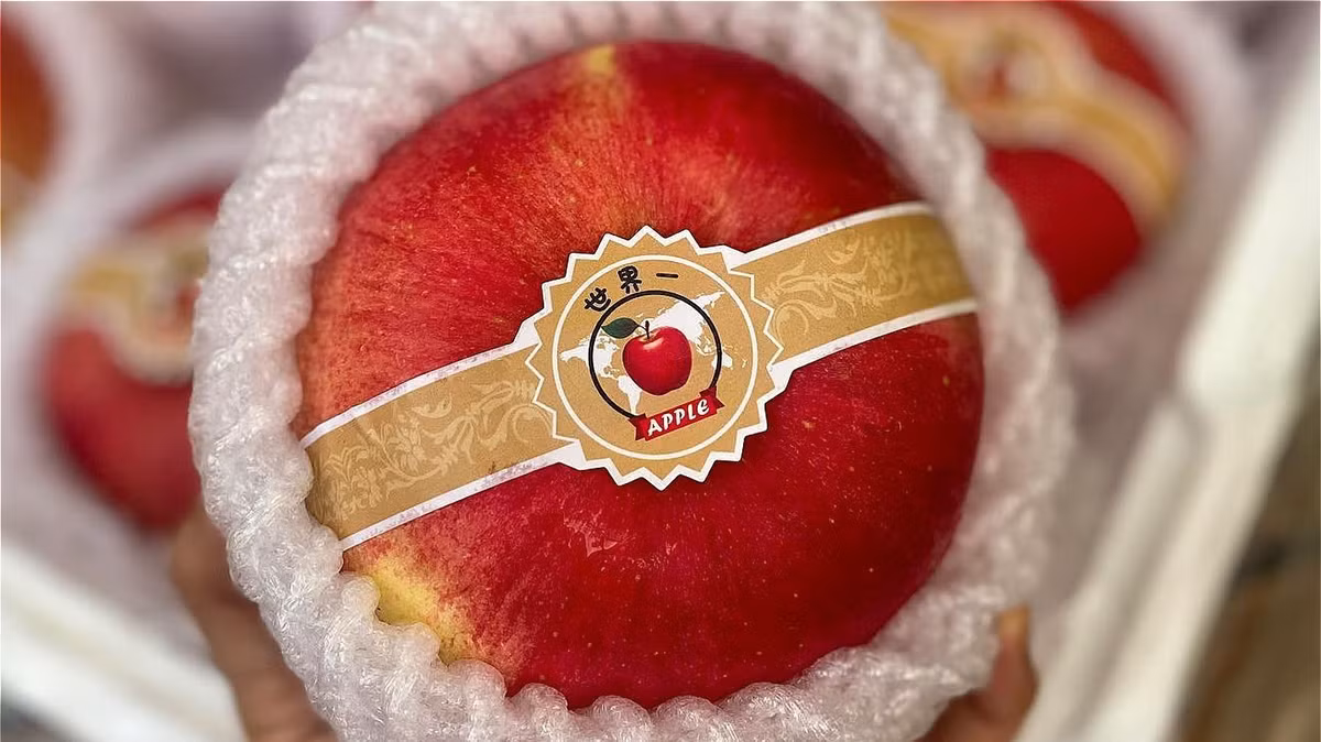 Theo một nghiên cứu được công bố vào năm 1973, táo Sekai-Ichi từng có giá 3 USD mỗi quả. Mặc dù đây có vẻ không phải là số tiền lớn, nhưng 3 USD là một mức giá quá đắt để trả cho một quả táo. Đây là một trong những lý do khiến táo Sekai-Ichi trở nên phổ biến. Ảnh: Japan