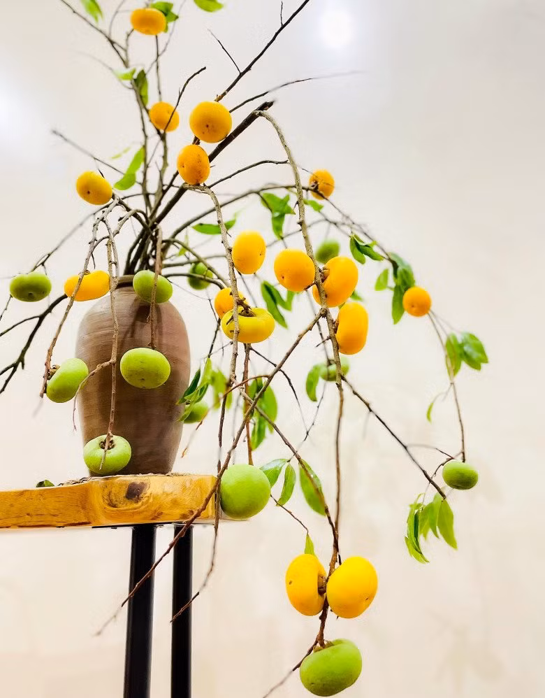 Khoảng 3 năm trở lại đây, thú vui cắm bình cành quả độc lạ trở thành xu hướng được nhiều chị em lựa chọn. Năm nay, cành quả thị tròn tròn, nhỏ nhỏ, ẩn mình trong tán lá xanh vừa xuất hiện đã được người tiêu dùng thích thú. Ảnh: Thời báo Văn học nghệ thuật