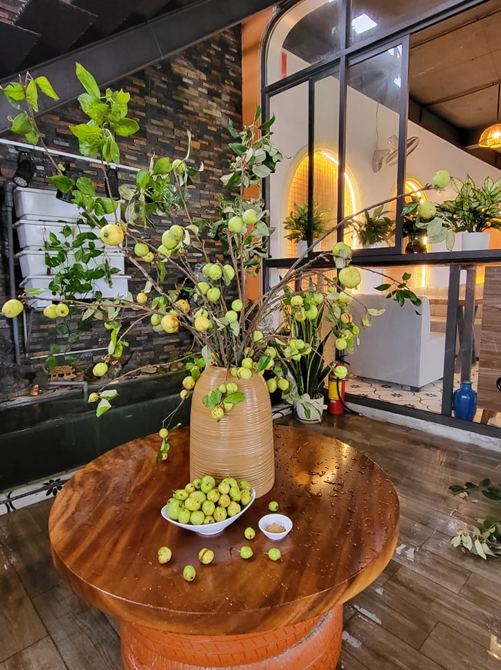 Giá cành táo mèo phụ thuộc vào kích thước. Cành dăm nhỏ 90.000 đồng/ 7-10 cành nhỏ. Ảnh: Facebook