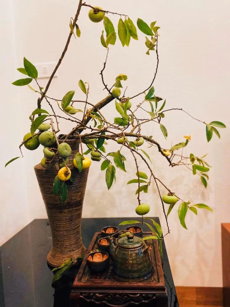 Cành thị có số lượng quả và dài ngắn khác nhau nhưng hầu hết khách đặt đều muốn cành hơn 1 mét để cắm bình cho đẹp. Ảnh: Thời báo Văn học nghệ thuật