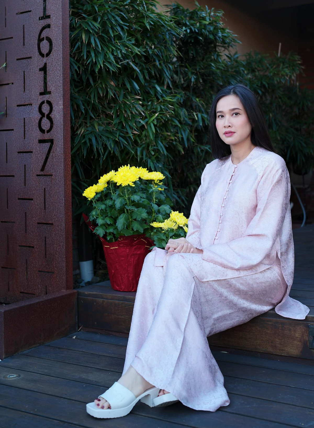 Năm 2006, Dương Mỹ Linh đăng quang Hoa hậu Phụ nữ Việt Nam qua ảnh. Sau đó, người đẹp sang Mỹ định cư. Cuối năm 2022, Dương Mỹ Linh kết hôn với doanh nhân Việt kiều.