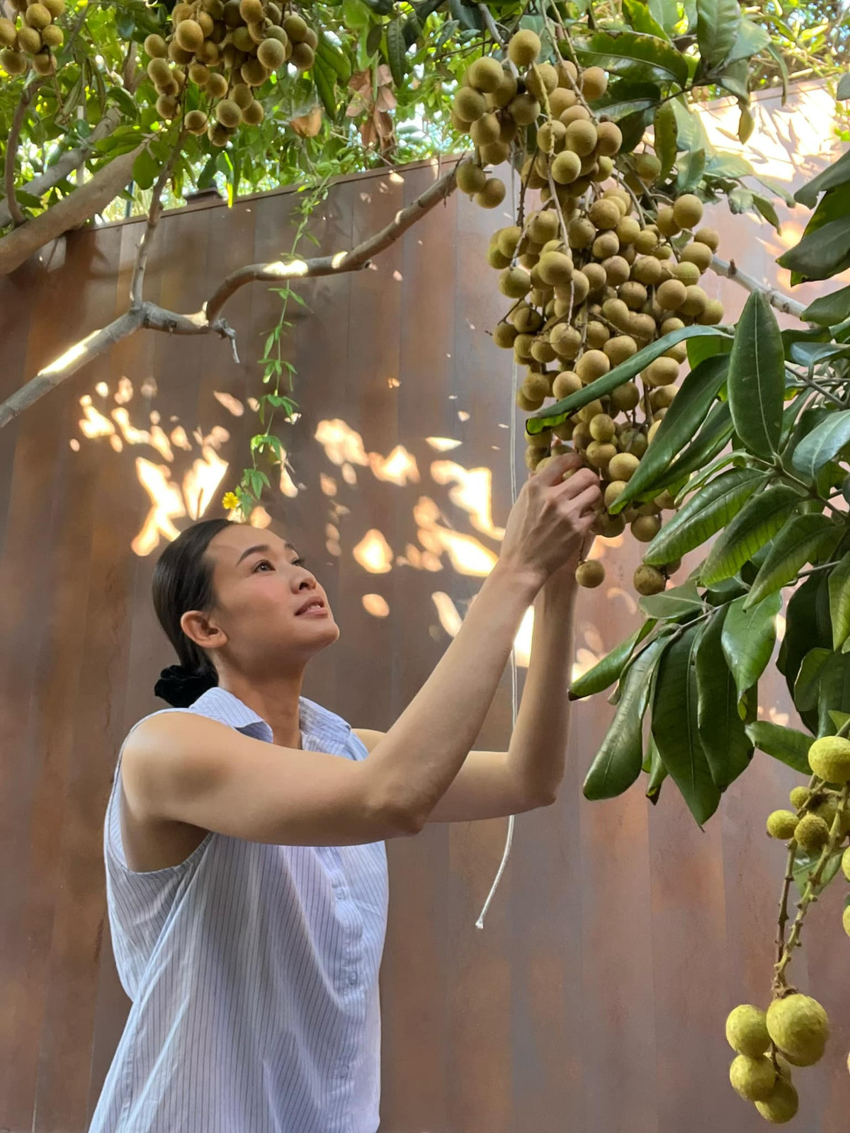 Qua đây, khán giả chú ý đến khu vườn rộng rãi trong biệt thự của gia đình nàng Hậu.