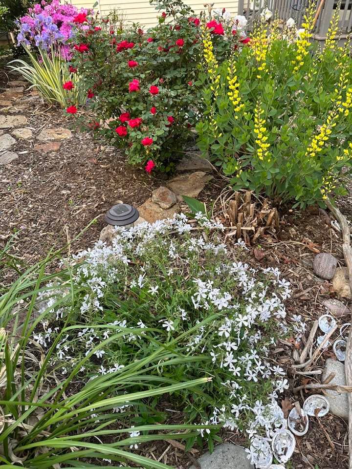 Ở tuổi U70, bà Liên Phạm vẫn tham gia hoạt động trong giới nghệ thuật và dành nhiều thời gian tận hưởng bên gia đình. Bà sở hữu một căn nhà xinh xắn ở Mỹ. Ảnh: FBNV