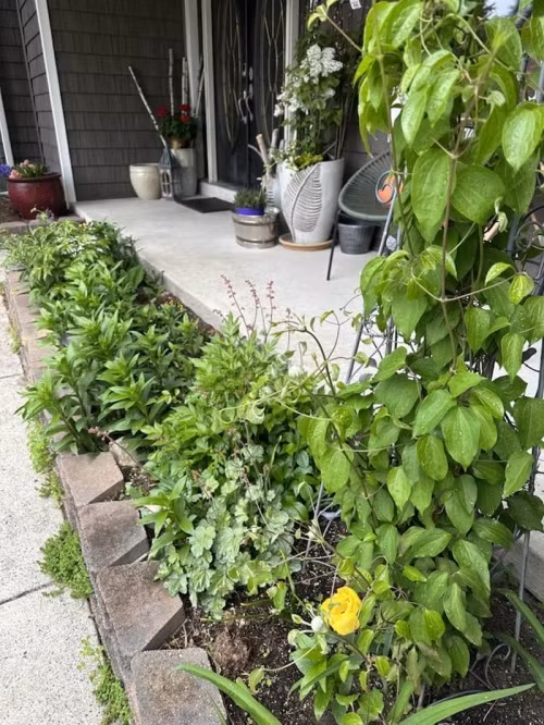 Ngoài những chậu cây lớn, khu vườn trong nhà bầu sô Liên Phạm còn có luống hoa bên hiên. Ảnh: FBNV