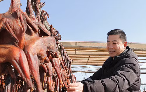 Ngày nay, cách làm gà hong gió ghê rợn dần thay đổi. Gà được cắt tiết trước khi chế biến và quy trình cũng thay đổi để đảm bảo vệ sinh hơn cho người sử dụng. Nguồn ảnh: BTime, China Whisper