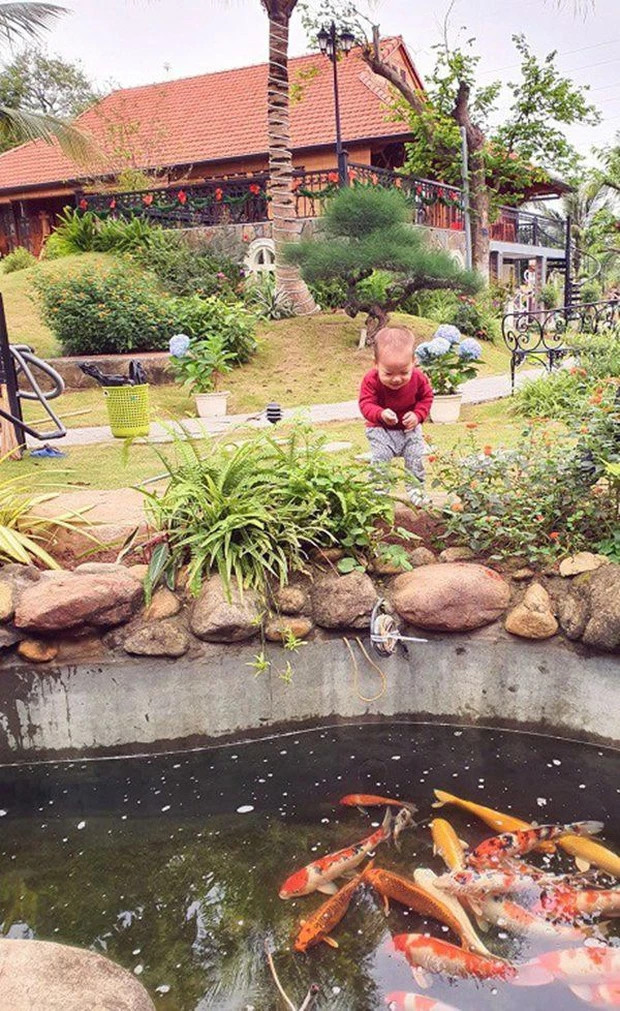 Trong vườn có hồ cá Koi đẹp mắt. Ảnh: FBNV