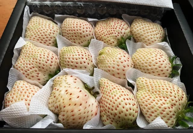 Trên thị trường, dâu Bạch Tuyết Đà Lạt thường đóng thành hộp 250gram và bán với giá dao động từ 120.000 – 220.000 đồng/hộp. Ảnh: Facebook