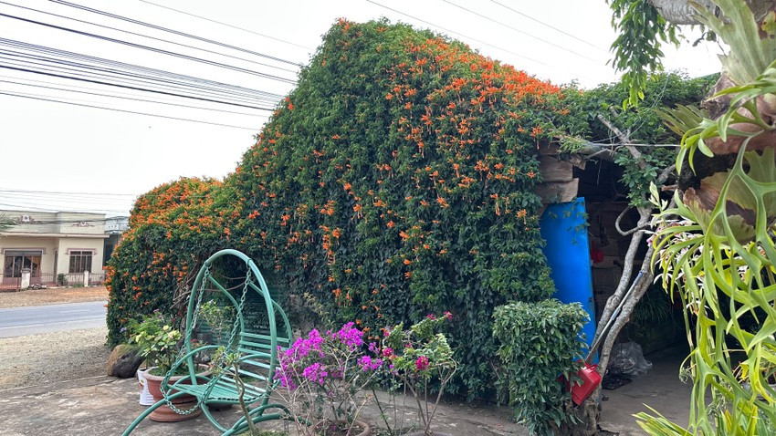 Căn nhà là một quán tạp hoá của của gia đình ông Hữu Thắng, 62 tuổi, xã Gia Hiệp (huyện Di Linh, Lâm Đồng). Ảnh: Plo