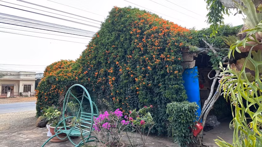 Căn nhà là một quán tạp hoá của của gia đình ông Hữu Thắng, 62 tuổi, xã Gia Hiệp (huyện Di Linh, Lâm Đồng). Ảnh: Plo