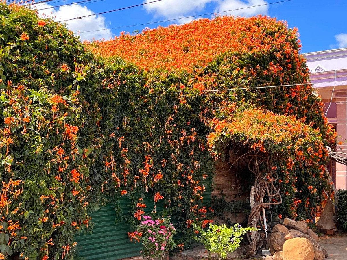 Nhìn từ xa, nhiều người liên tưởng đây chính là một ngôi nhà bước ra từ câu chuyện cổ tích. Ảnh: Trithuctre