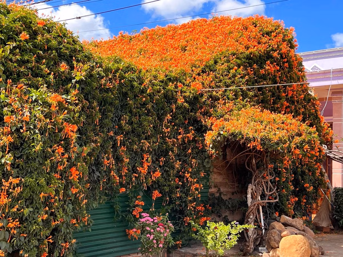 Nhìn từ xa, nhiều người liên tưởng đây chính là một ngôi nhà bước ra từ câu chuyện cổ tích. Ảnh: Trithuctre