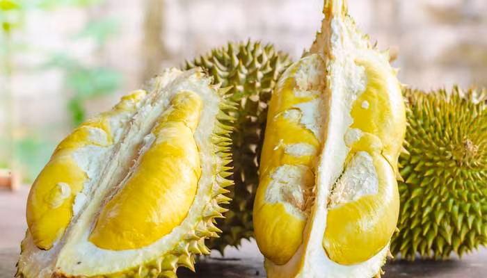 Theo Business Insider, sầu riêng đến từ Nonthaburi là loại sầu riêng cao cấp nhất ở Thái Lan, nổi tiếng với hương thơm dịu nhẹ và kết cấu dạng kem. Ảnh: Buzztribe News