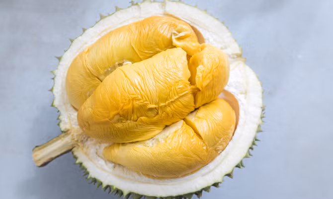 Mùi vị sầu riêng Kanyao ngọt và béo ngậy, khi chín vẫn không bị nhũn, miếng vẫn săn và thơm ngon. Ảnh: Yearofthedurian