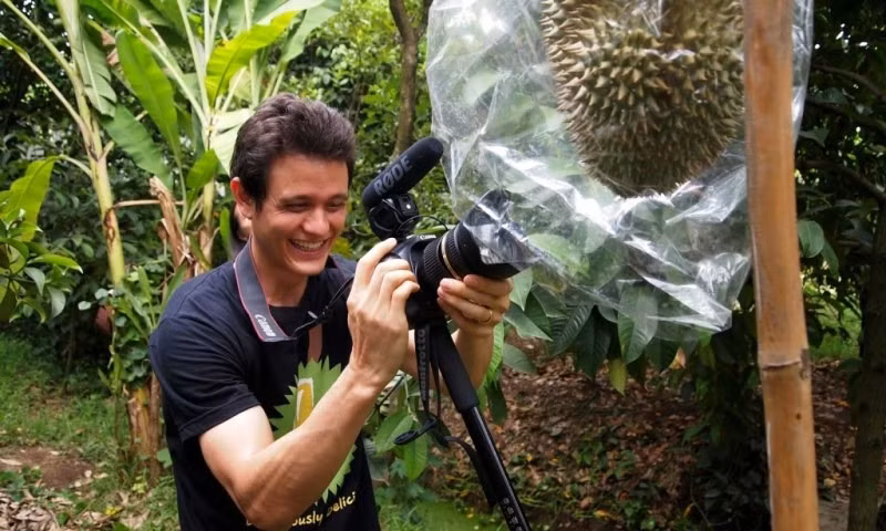 Nếu như các vùng khác sử dụng nước ngầm, nước sông hay nước suối để tưới cây thì ở Nonthaburi, nông dân mua nước máy để trồng sầu riêng. Ảnh: Yearofthedurian