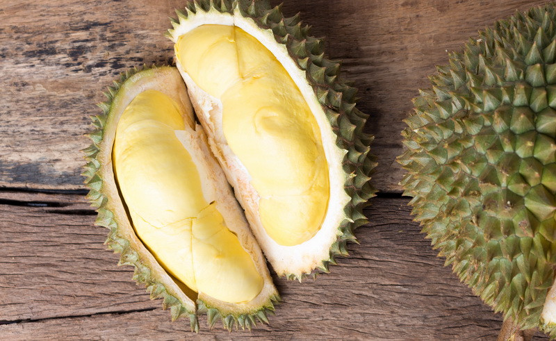 Đáng chú ý, giống sầu riêng quý hiếm Kanyao gần như bị xóa sổ kể từ sau trận lụt lớn cách đây vài năm, trang trại Pa Toi Lung Mu là nơi duy nhất còn trồng giống cây này kể từ đó. Ảnh: Yearofthedurian