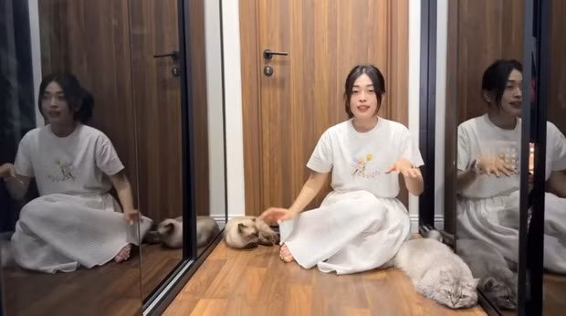 Phòng thay đồ dẫn vào nhà tắm có gam màu nâu và đen tạo cảm giác sang trọng như ở khách sạn. Ảnh: chụp màn hình